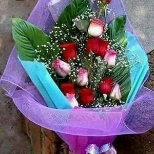 Meet your Posher, Marieva